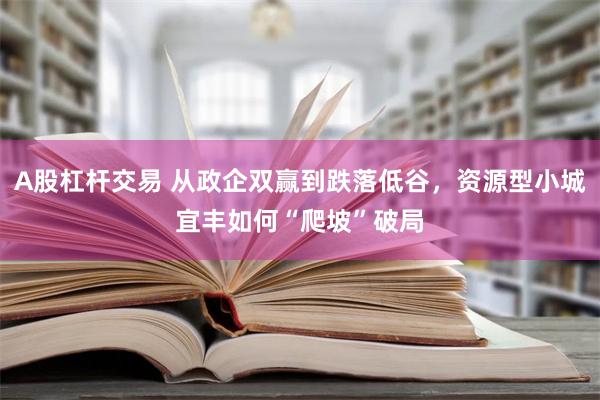 A股杠杆交易 从政企双赢到跌落低谷，资源型小城宜丰如何“爬坡”破局