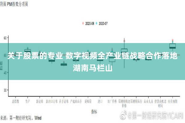 关于股票的专业 数字视频全产业链战略合作落地湖南马栏山